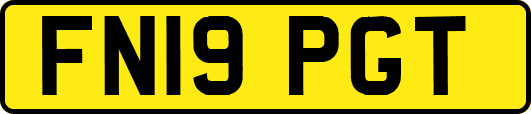 FN19PGT
