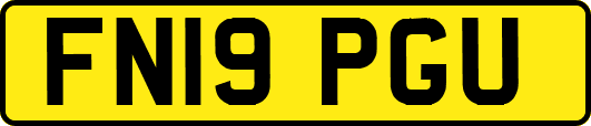 FN19PGU