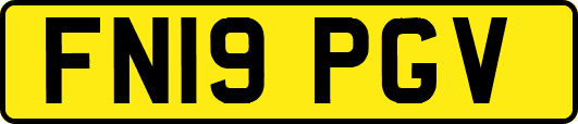 FN19PGV
