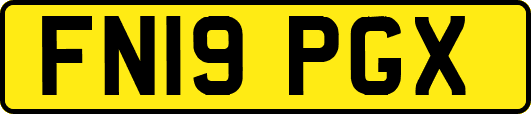 FN19PGX