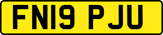 FN19PJU