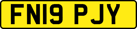 FN19PJY
