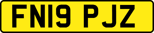 FN19PJZ