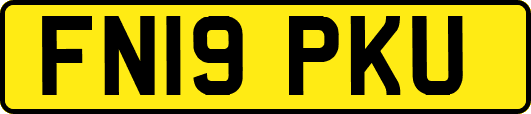 FN19PKU