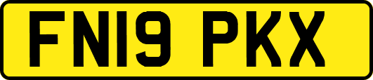FN19PKX