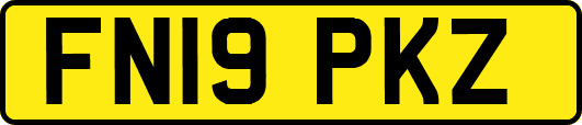 FN19PKZ