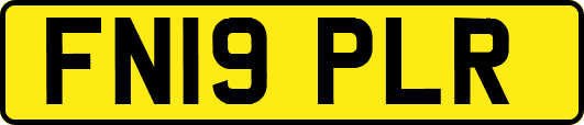 FN19PLR
