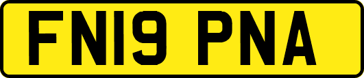 FN19PNA