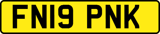 FN19PNK
