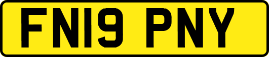 FN19PNY