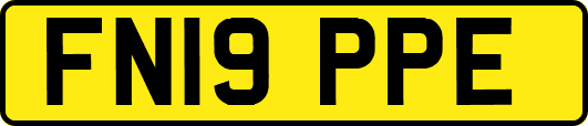 FN19PPE
