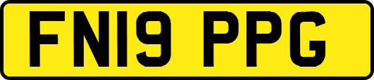 FN19PPG