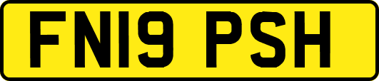 FN19PSH