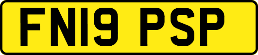 FN19PSP
