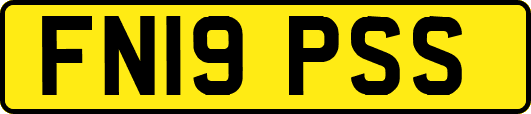 FN19PSS