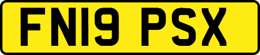 FN19PSX