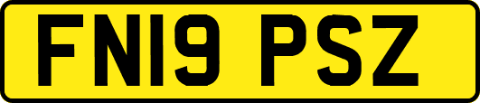 FN19PSZ