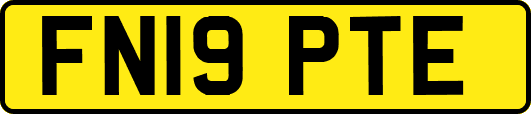 FN19PTE