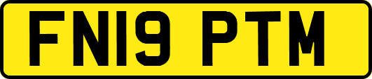 FN19PTM