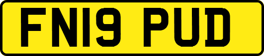 FN19PUD