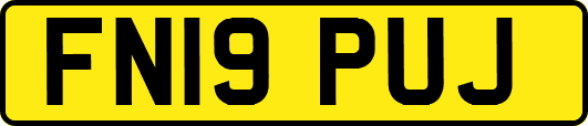 FN19PUJ