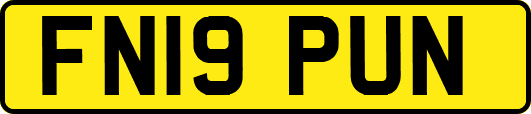 FN19PUN