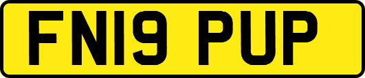 FN19PUP