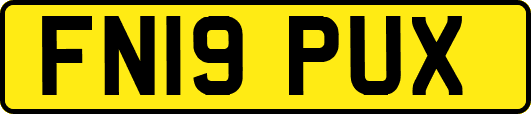 FN19PUX