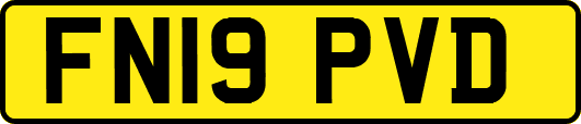 FN19PVD