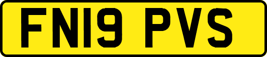 FN19PVS