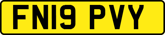 FN19PVY