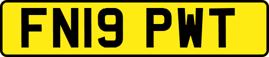 FN19PWT