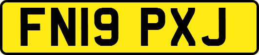 FN19PXJ