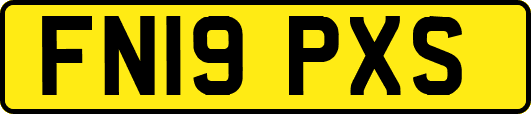 FN19PXS