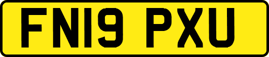 FN19PXU