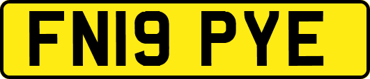 FN19PYE