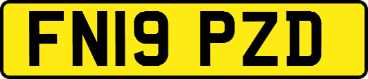 FN19PZD