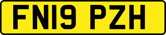 FN19PZH
