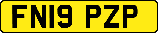 FN19PZP