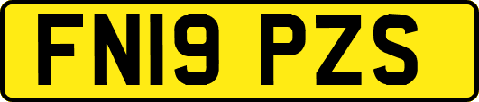 FN19PZS