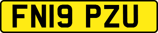 FN19PZU