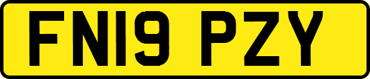 FN19PZY