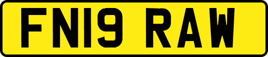 FN19RAW