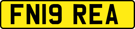 FN19REA
