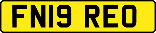 FN19REO