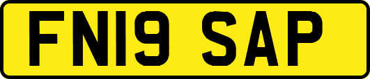 FN19SAP