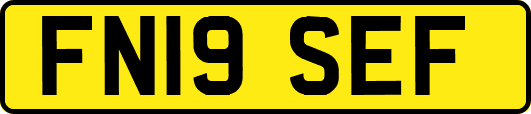 FN19SEF