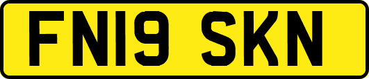 FN19SKN