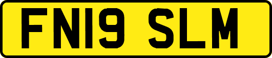 FN19SLM