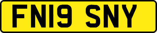 FN19SNY